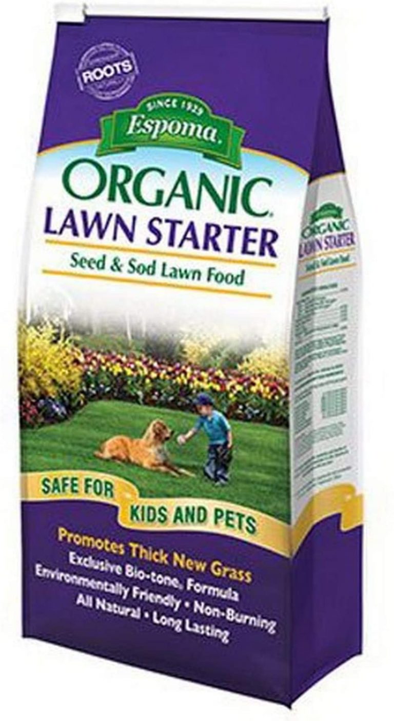Best fertilizer for Kentucky 31 Top 6 reviews and buying guide