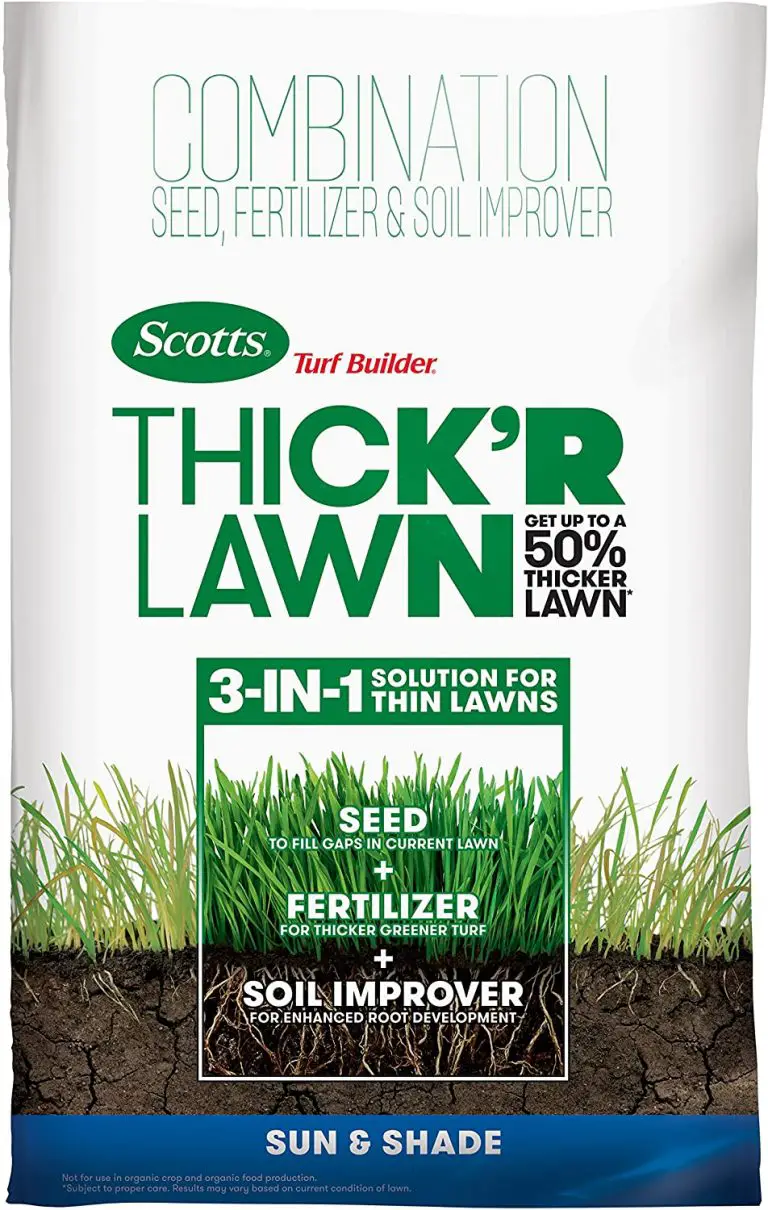 Best fertilizer for Kentucky 31 Top 6 reviews and buying guide