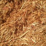 Cedar vs cypress mulch as a bug repelant