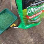 Pennington Grass Seed Vs. Scotts