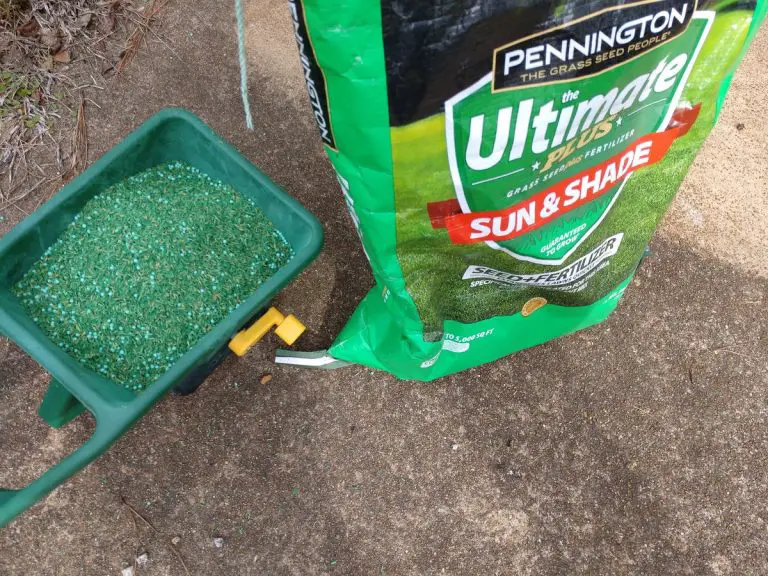 Pennington Grass Seed Vs. Scotts
