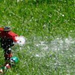 How Often Should I Water My Lawn?