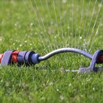 When To Stop Watering New Grass